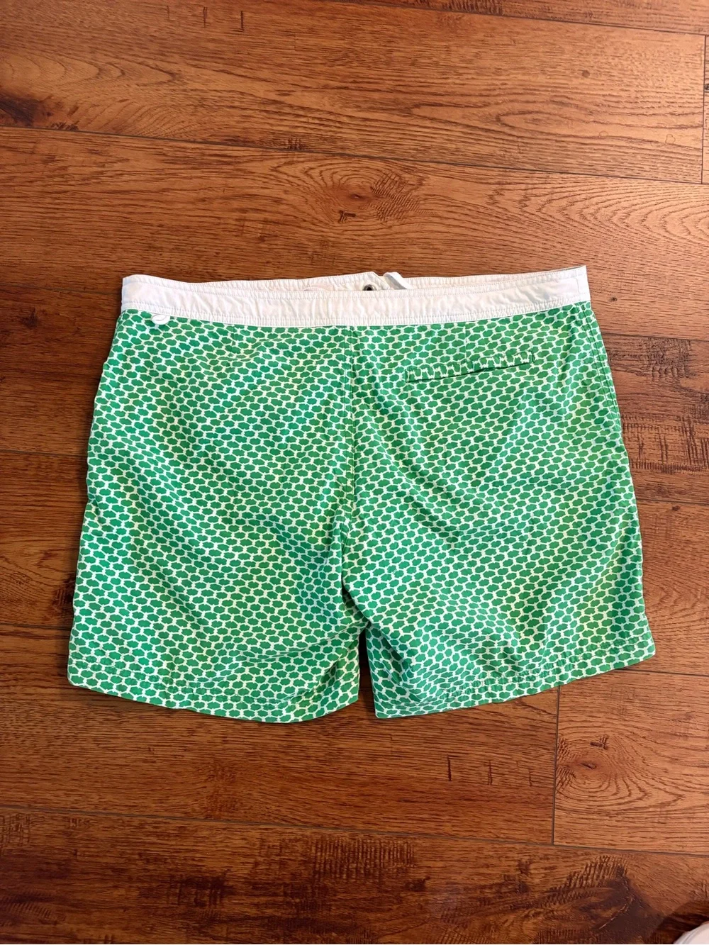 J.Crew Green Geo Print Swim Trunks Size 36